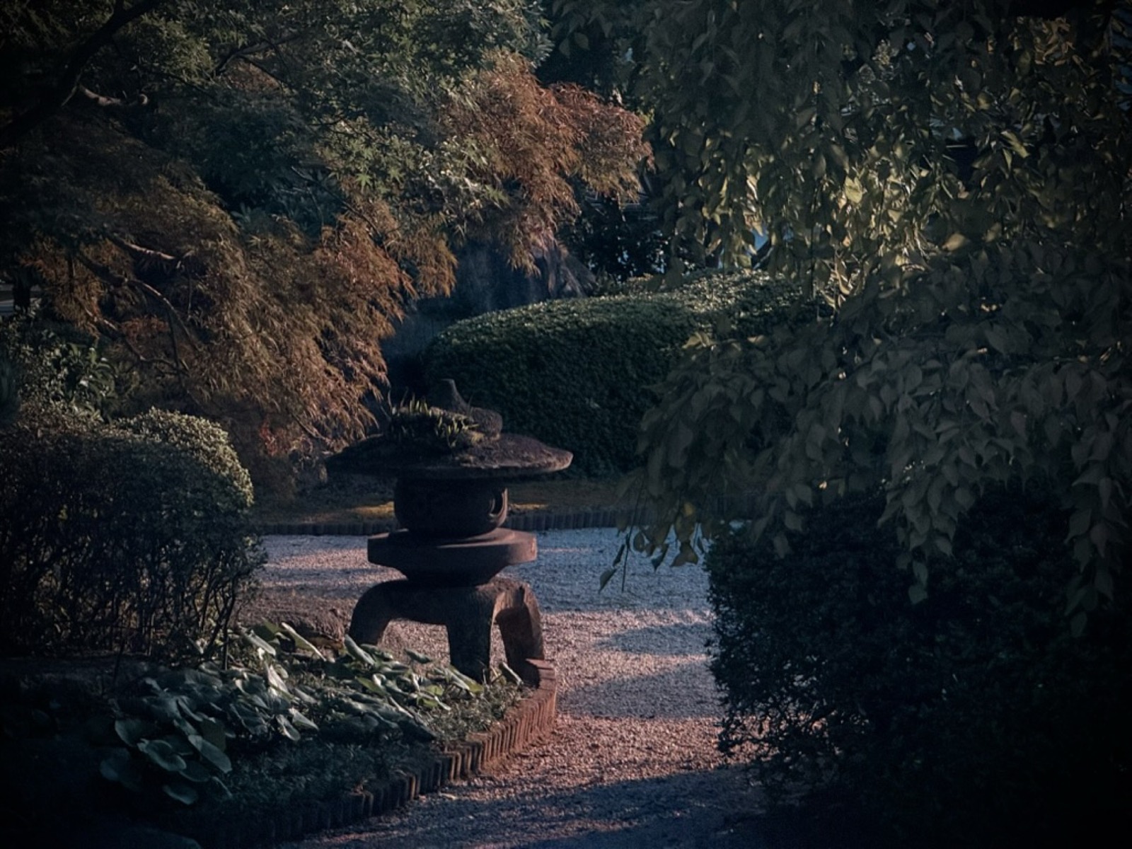 紅葉に彩られた庭園の石灯籠。夕刻の柔らかな光に包まれて。