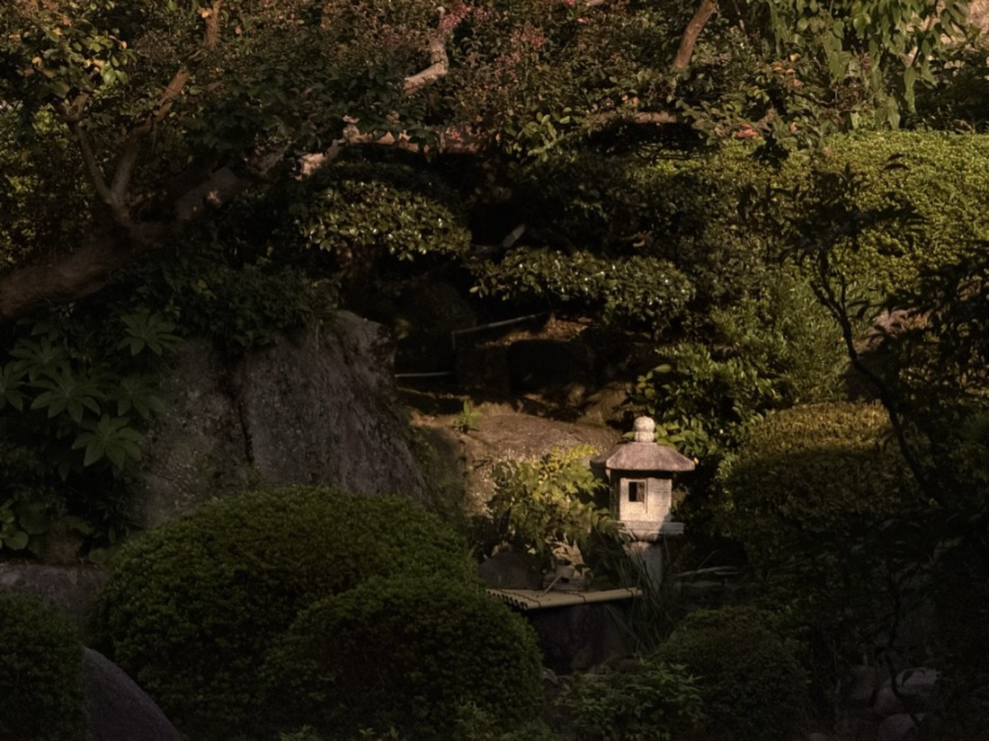 木々の陰に佇む石灯籠。庭園の奥行きを感じさせる一景。